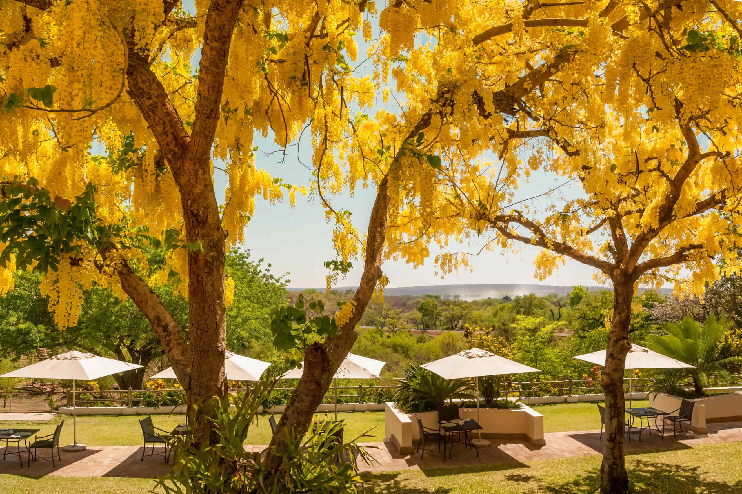5 Date Ideas for Valentine’s Day in Victoria Falls