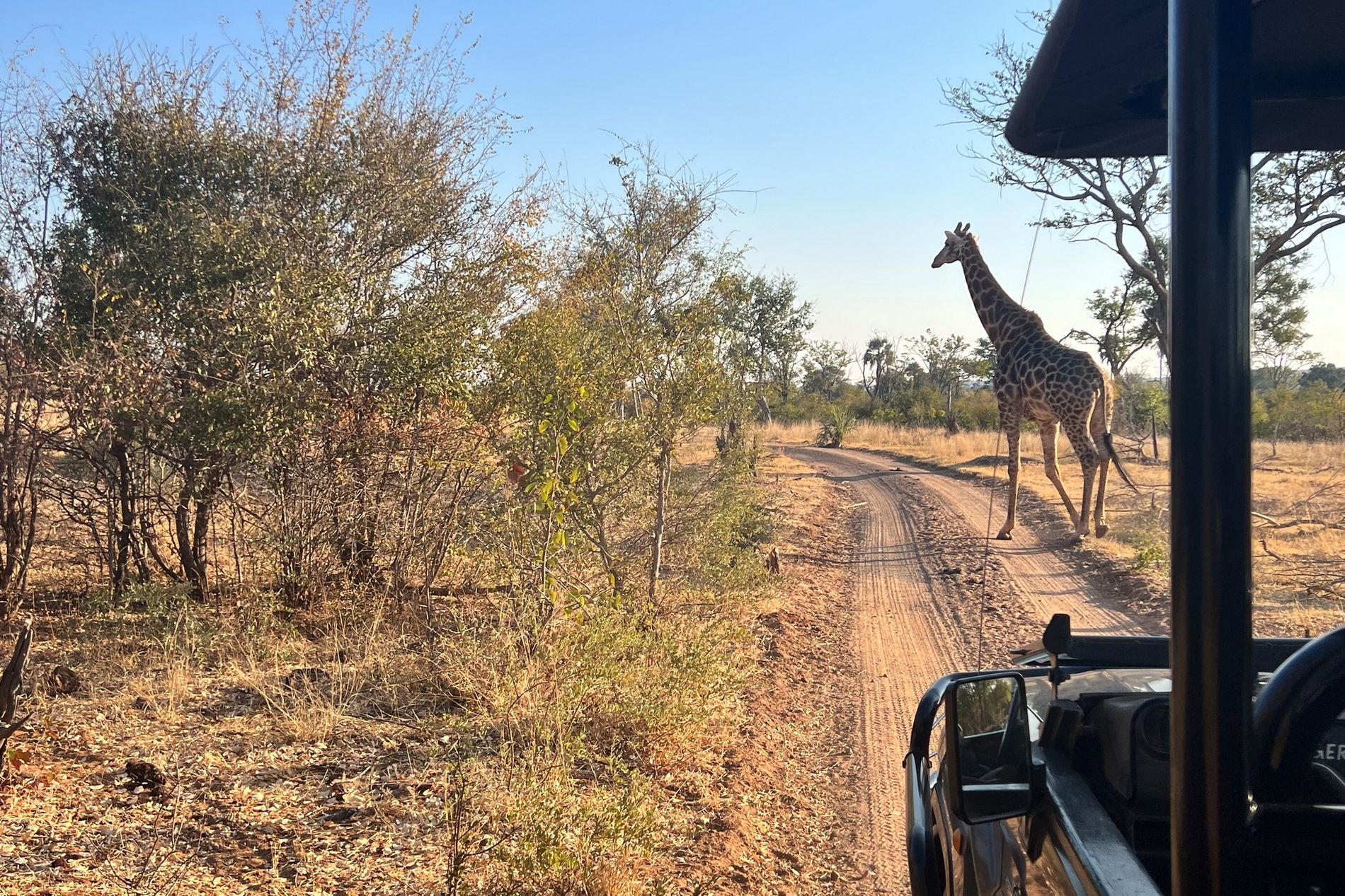 Our Pick of Family-Friendly Activities in Victoria Falls